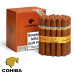 Charuto Cohiba Siglo VI Niterói RJ